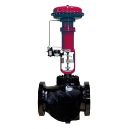 Cage Guided Globe Control Valves, Single-seated, 150-900 LB